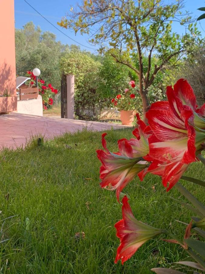 Villa Ey House Halikounas Exterior foto